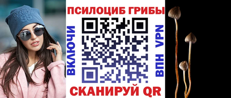 купить наркотики цена  Рыбное  гидра зеркало  Галлюциногенные грибы Magic Shrooms 